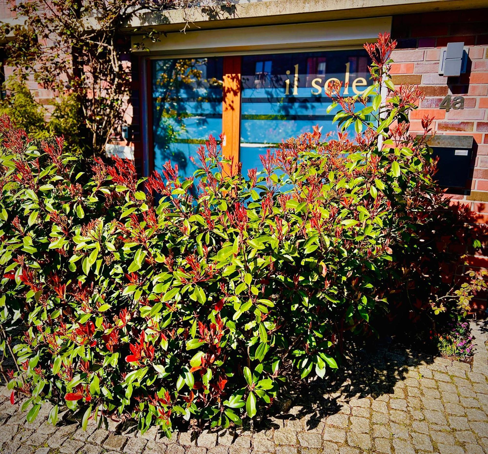 Schoene Aussichten Mitten In Berlin - Il Sole ภายนอก รูปภาพ