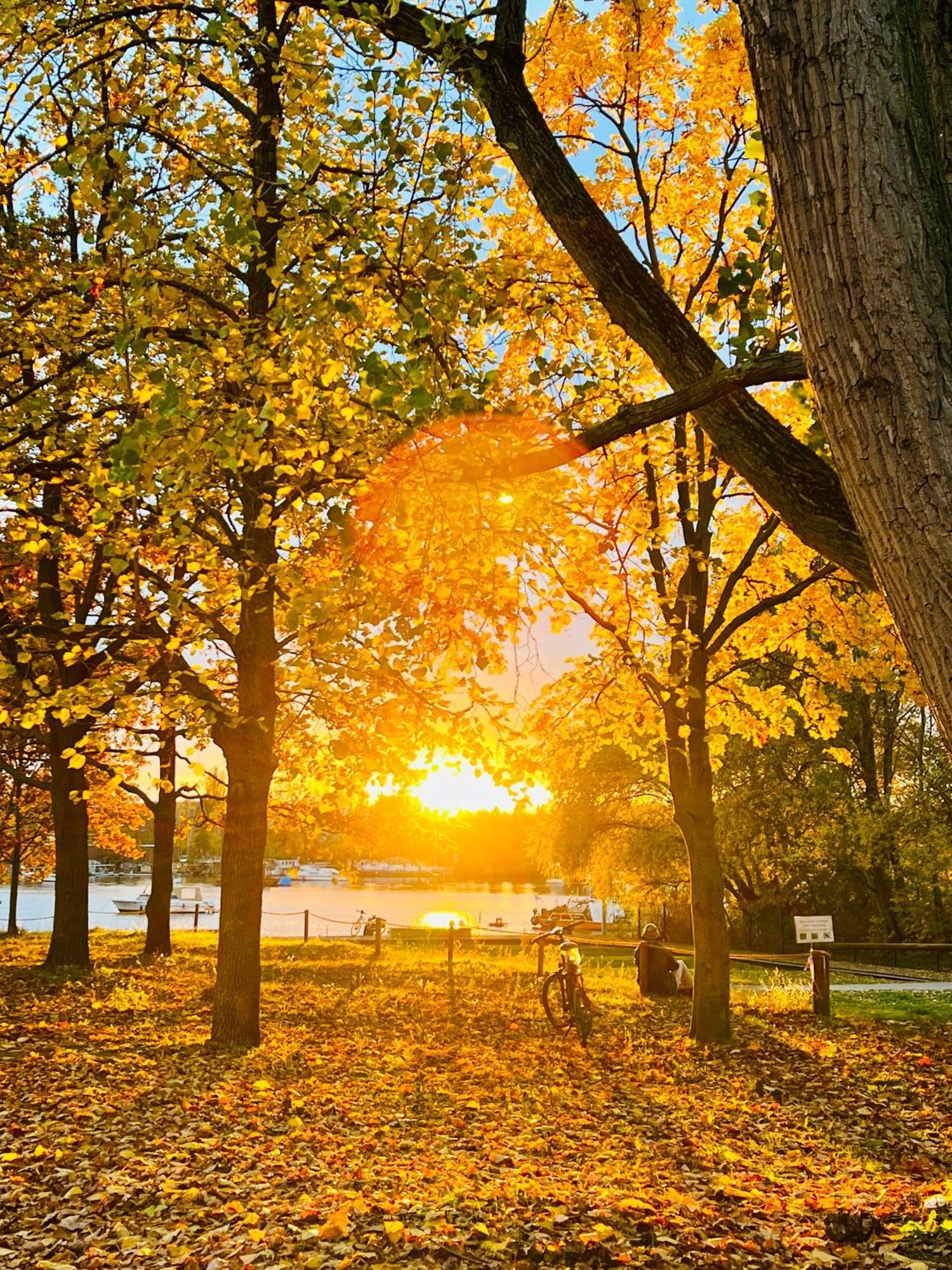 Schoene Aussichten Mitten In Berlin - Il Sole ภายนอก รูปภาพ