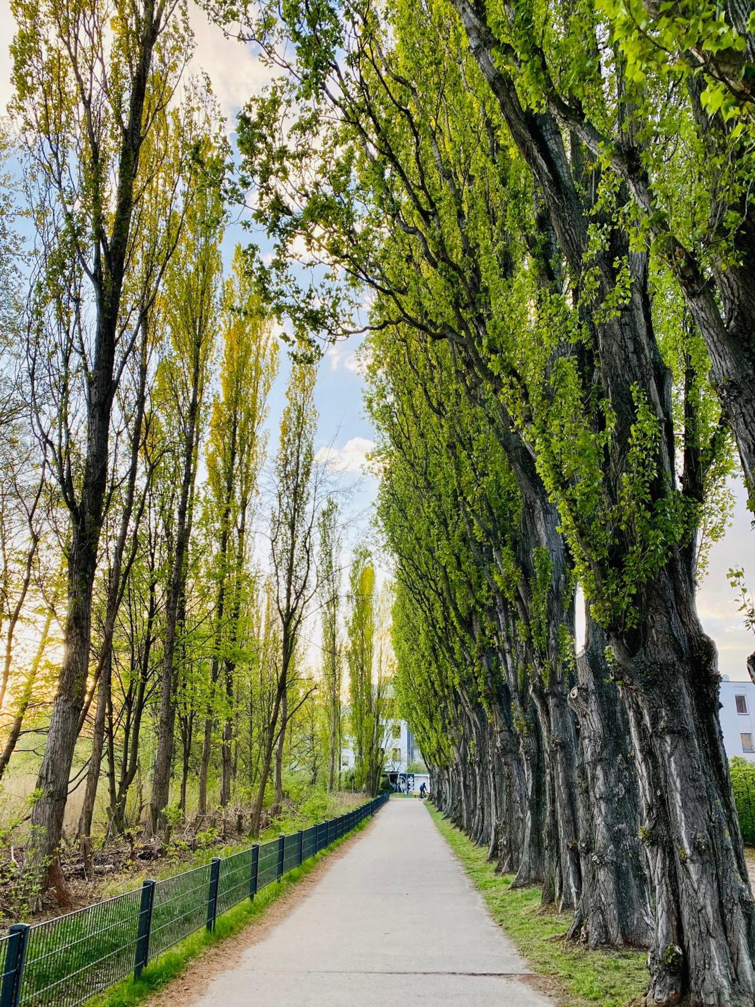 Schoene Aussichten Mitten In Berlin - Il Sole ภายนอก รูปภาพ